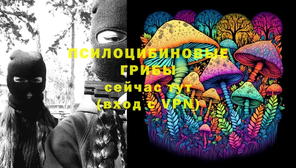 стаф Надым