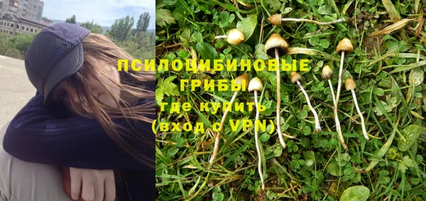 стаф Надым