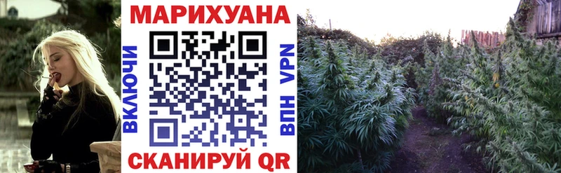 Купить где  Жирновск  Бошки марихуана план 